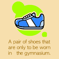 A pair of shoes that are only to be worn in the gymnasium.